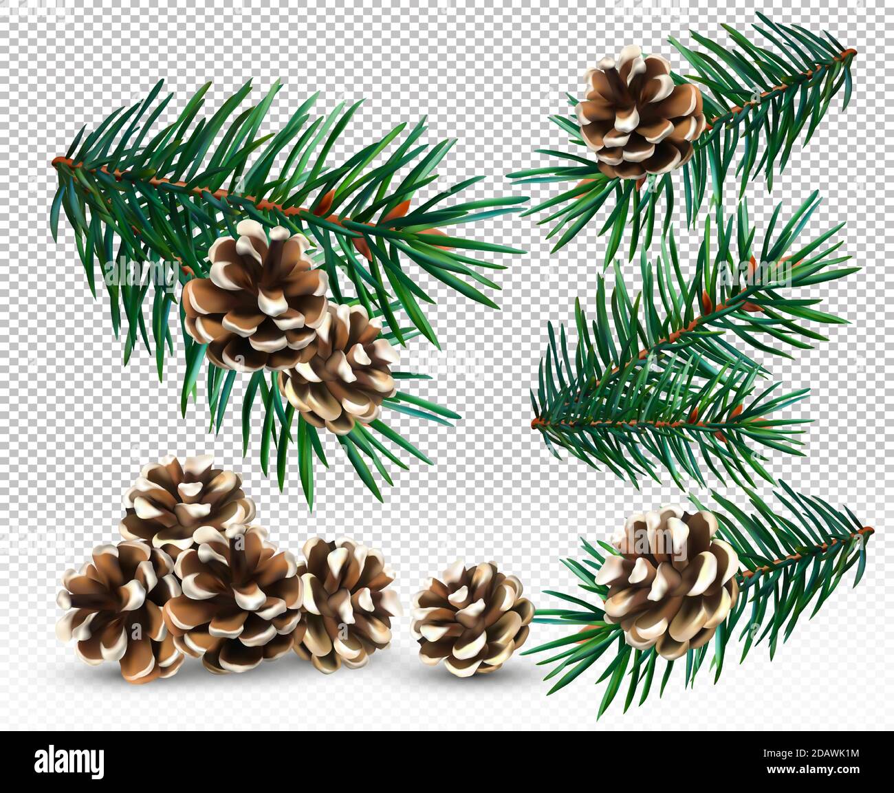 Pine tree branch christmas garland set realistic vector illustration. Fir  twigs with green needles isolated on transparent background. Winter holiday  Stock Vector Image & Art - Alamy