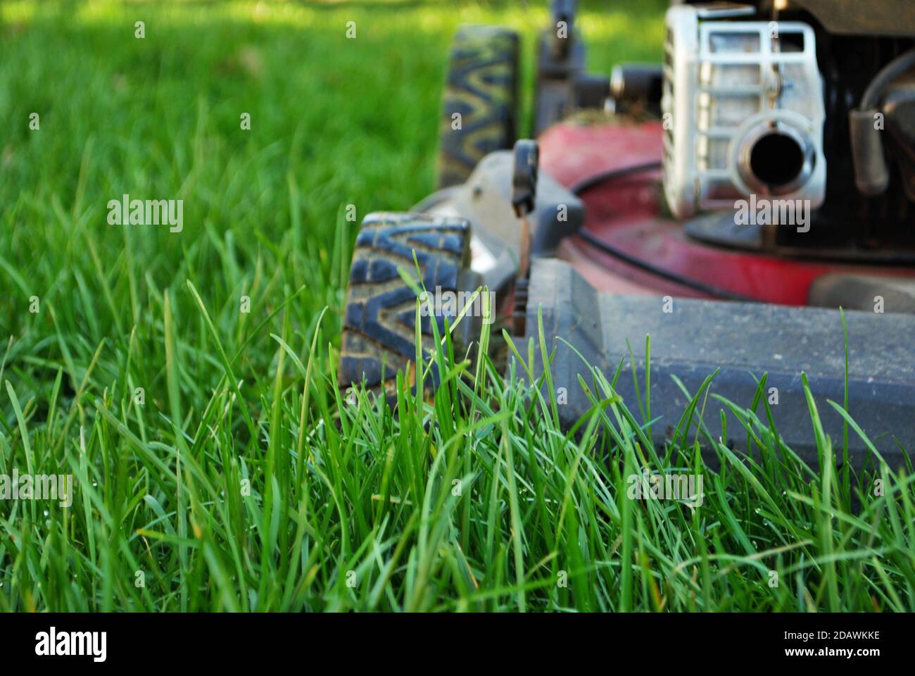 Ground level view of a lawnmower in tall grass Stock Photo Alamy