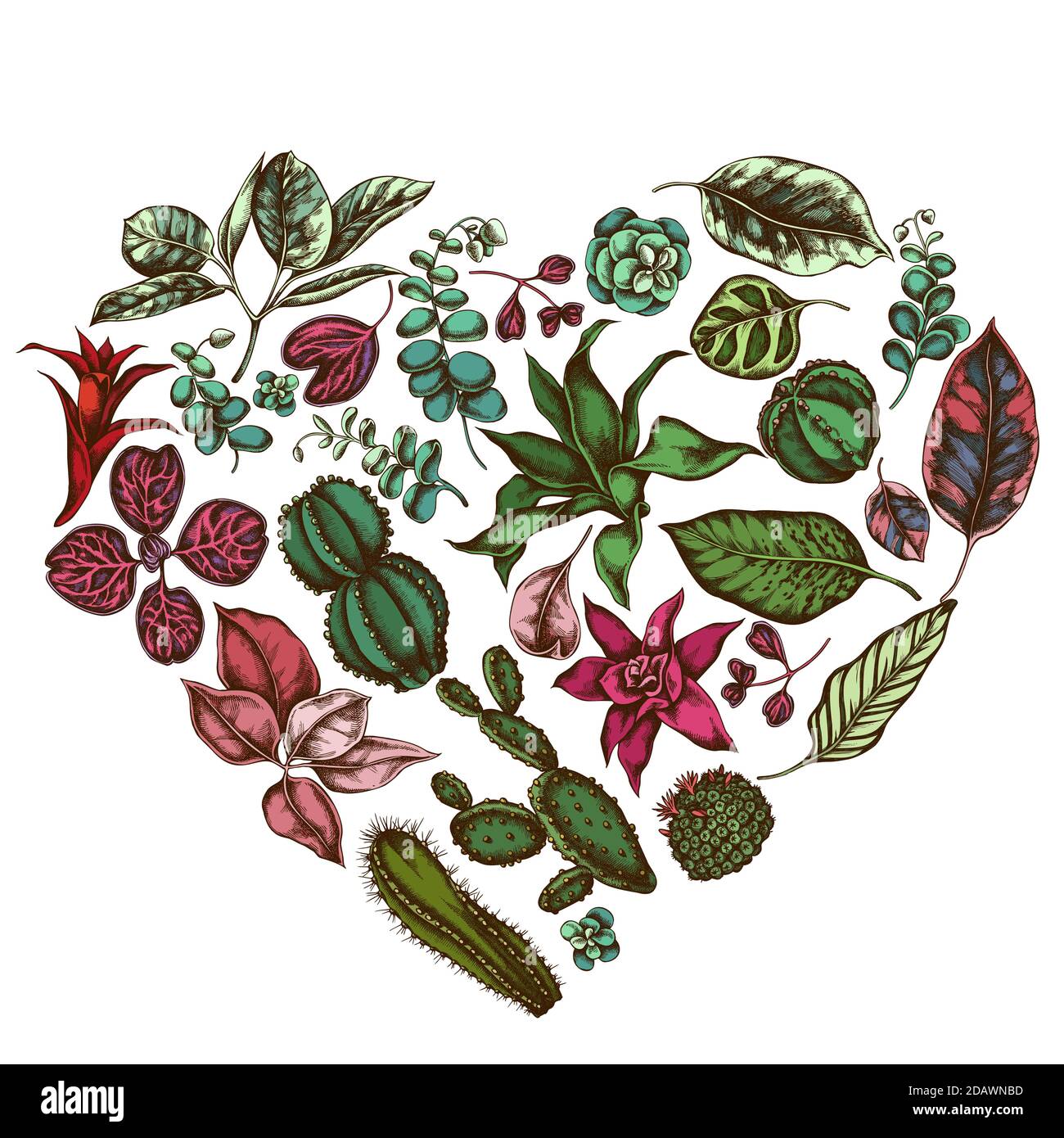 Heart floral design with colored ficus, iresine, kalanchoe, calathea, guzmania, cactus Stock Vector