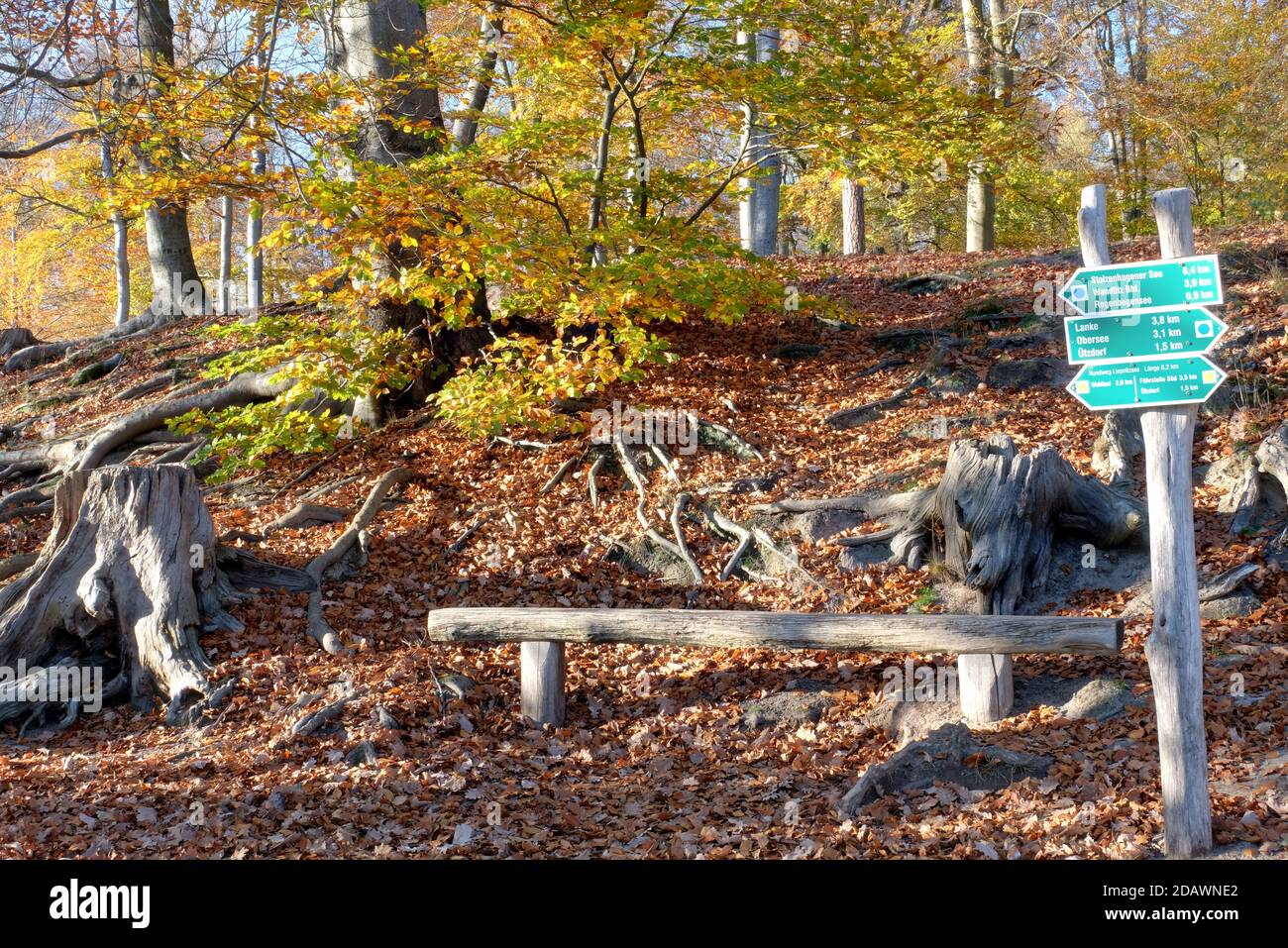 Seat by the ferry boarding stage, Autumn at Liepnitzsee, Brandenburg, Germany Stock Photo