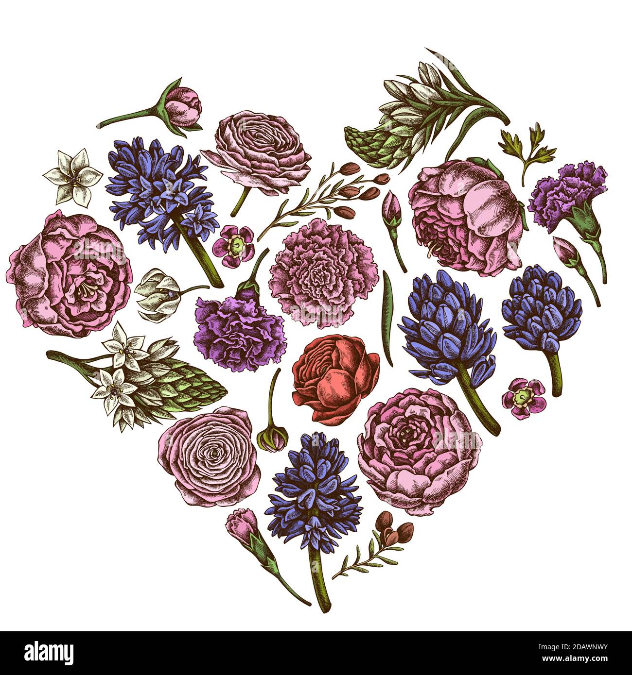 Heart floral design with colored peony, carnation, ranunculus, wax flower, ornithogalum, hyacinth Stock Vector
