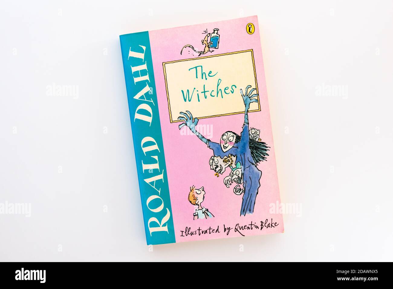 the witches roald dahl book pictures