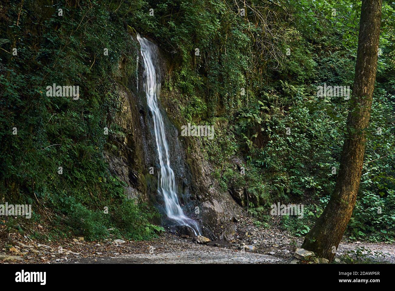 Vegetated Rocks waterfall flows down from vegetated rocks in mountain rainforest Stock ...