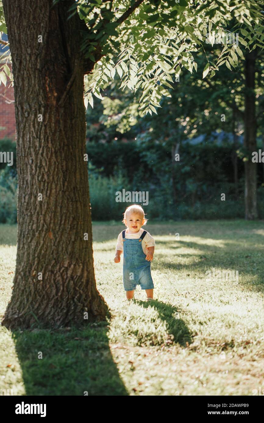 Cute baby boy standing under huge large tree in park on sunset. Adorable smiling child one year old toddler walking outdoor on backyard. Funny kid. Au Stock Photo