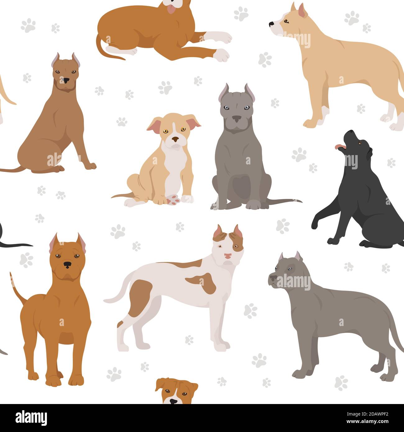 American stafford terrier pup Stock Vector Images - Alamy