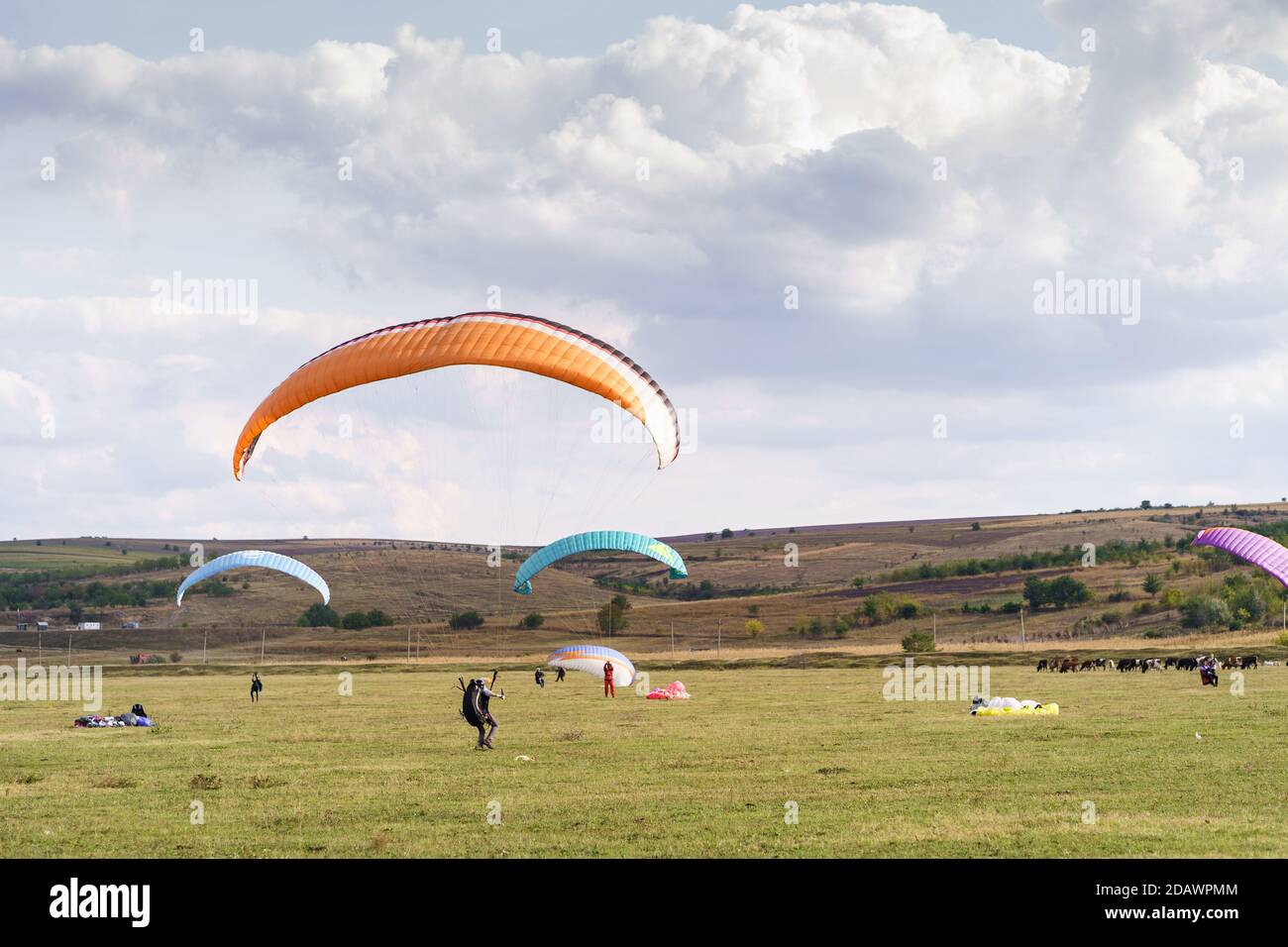Paragliders silhouette flying over beautiful green landscape under blue sky with clouds. Paragliding school, practice Stock Photo