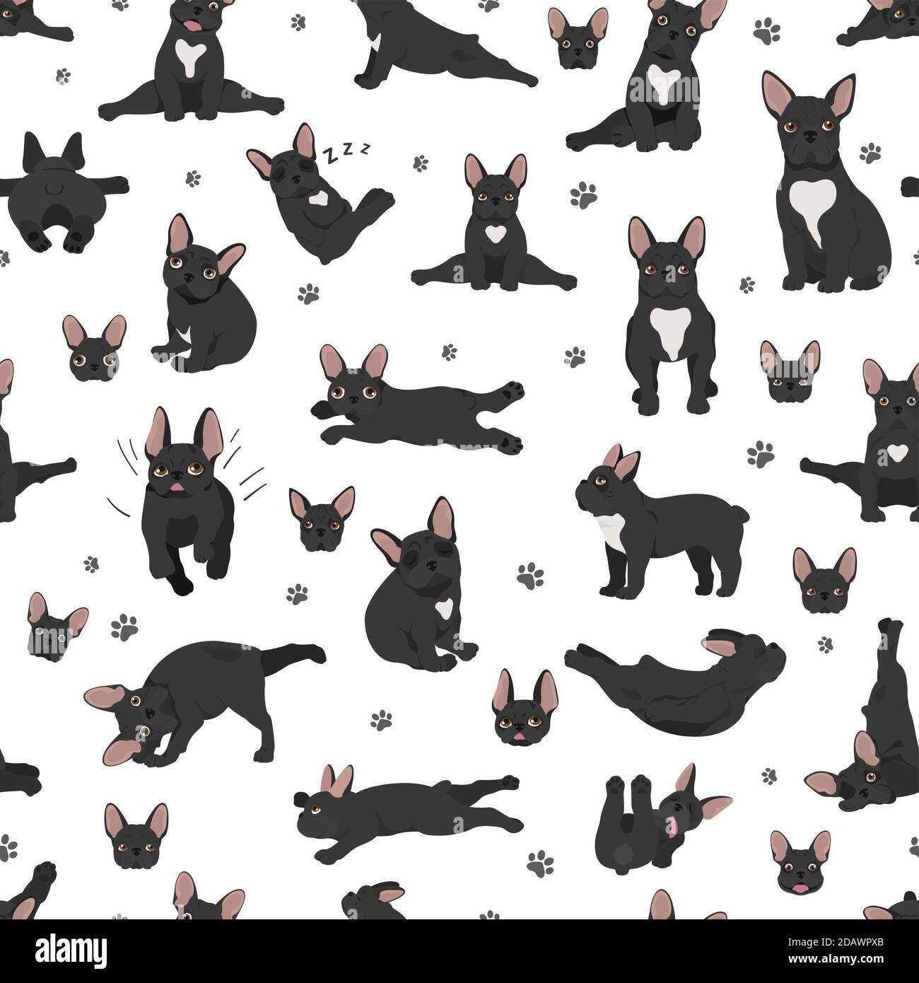 French Bulldog Pattern