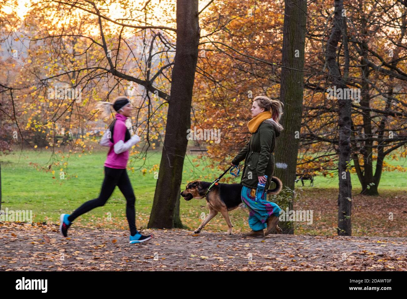 11/14/2020. Park Stromovka. Prague czech Republic. A woman is taking her dog for a walk on a Sunday winter day. Stock Photo