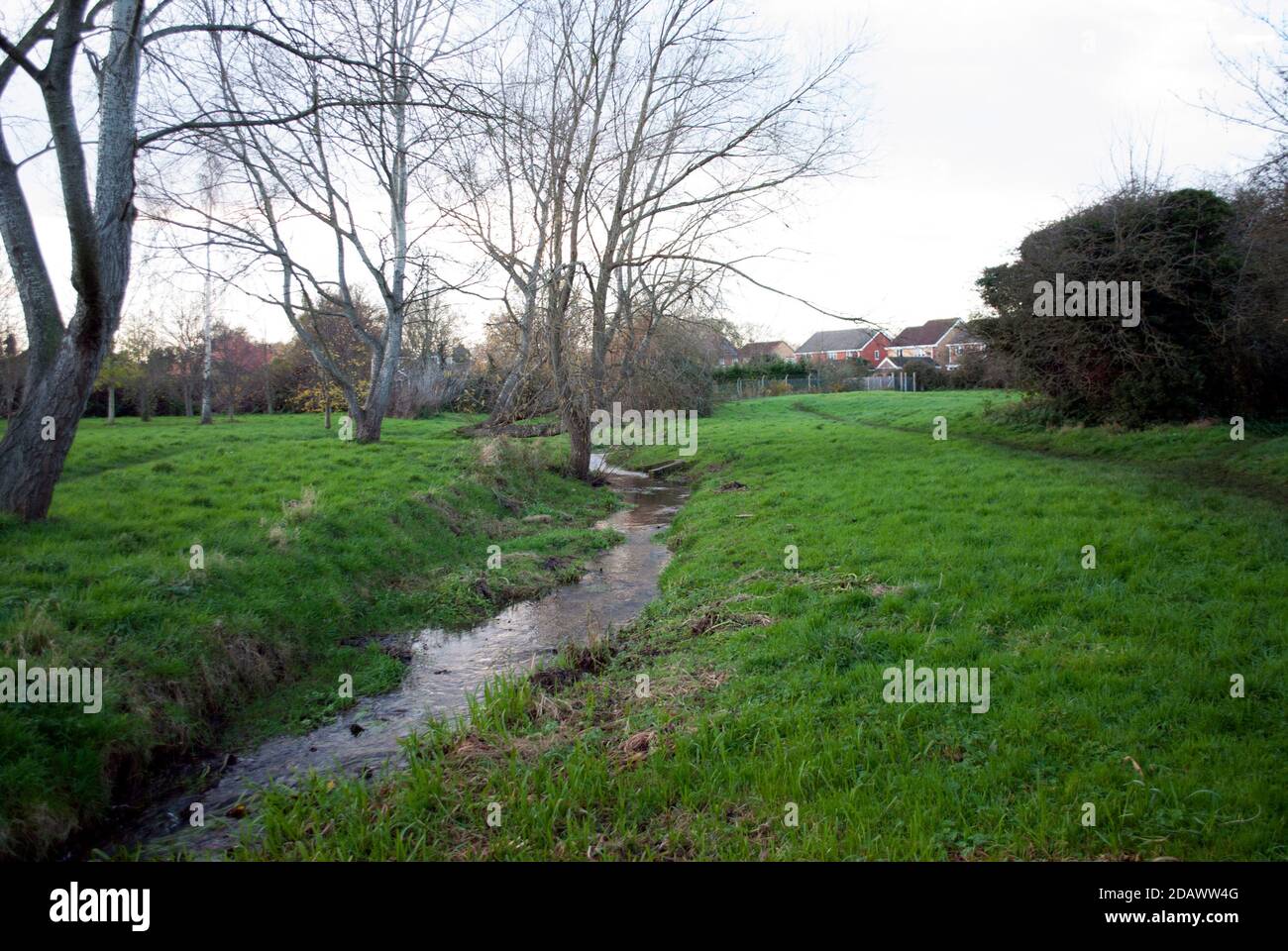 The Beck, a stream running through Horseshoe Hollow nature reserve in ...