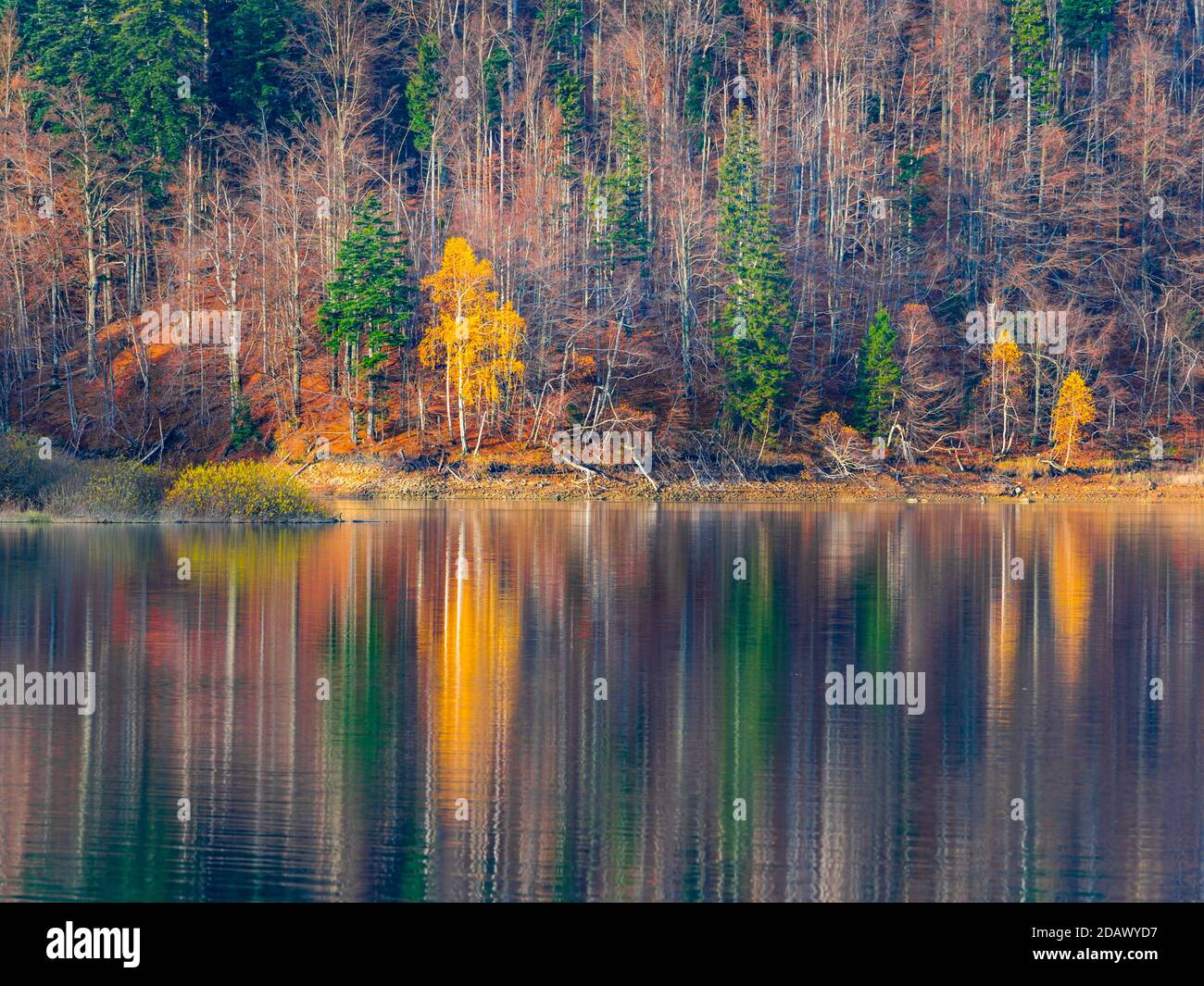 Beautiful late Autumnal lake reflection Lokve lake Lokvarsko jezero in Croatia Europe Stock Photo