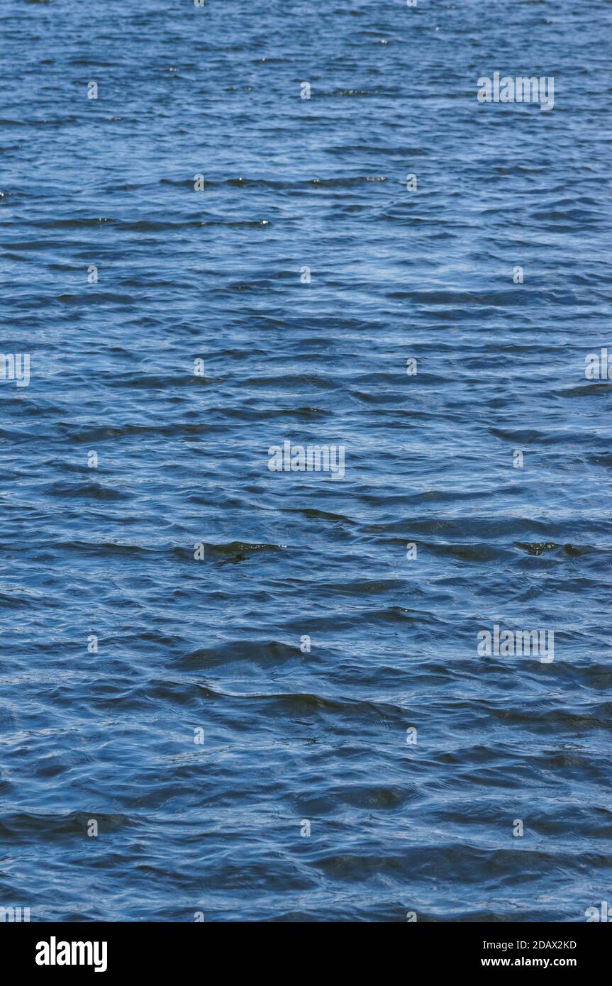Ripples on blue water surface on windy day Stock Photo