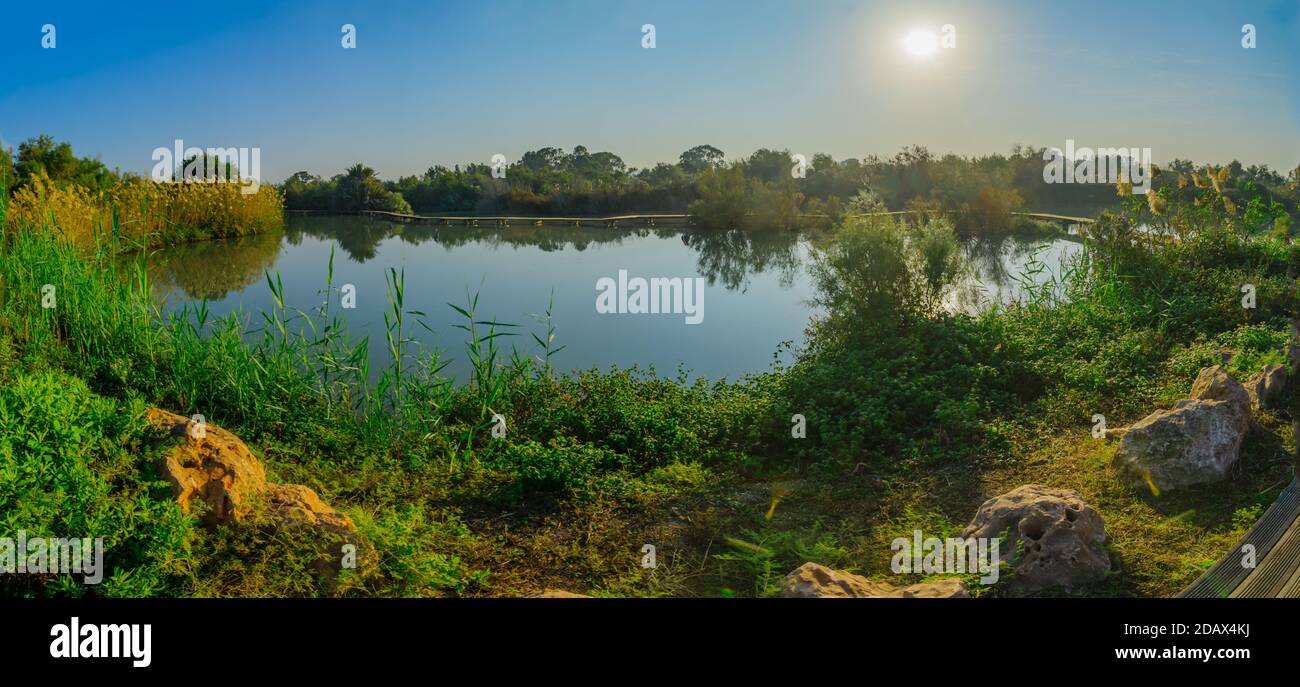 View of a pond with an elevated pathway, in En Afek nature reserve, northern Israel Stock Photo