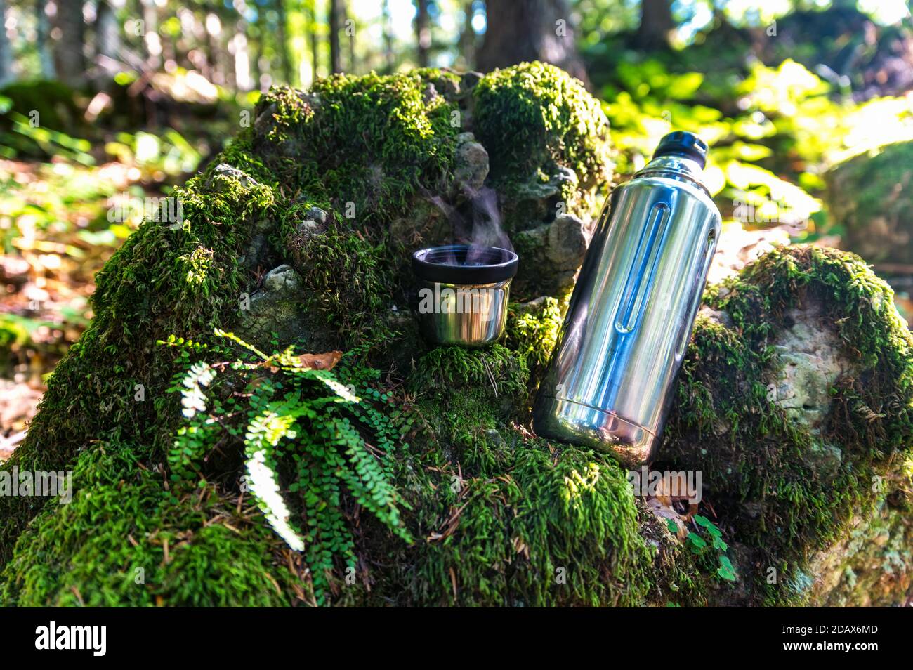 Close-up of steel thermos on moss covered stones Stock Photo