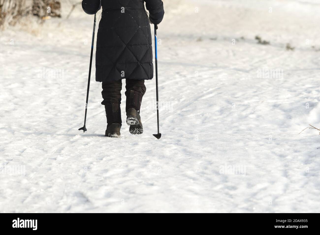 Nordic walking with sticks in the forest in winter Stock Photo