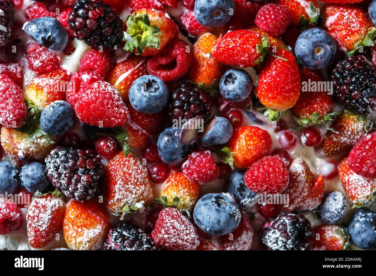 Mix of fresh berries sprinkled with powdered sugar close up Stock Photo