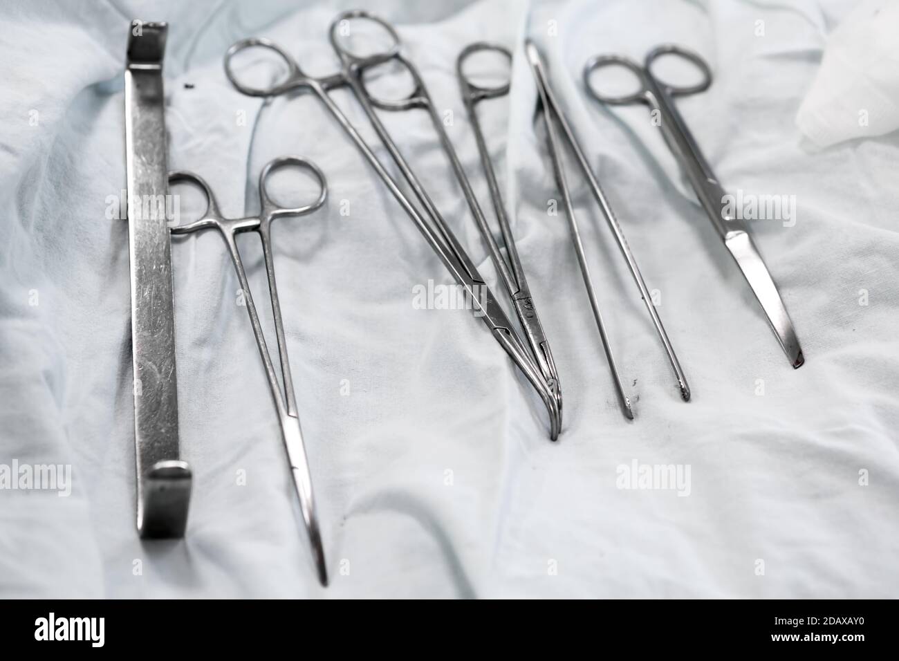 Doctor surgical forceps hires stock photography and images Alamy