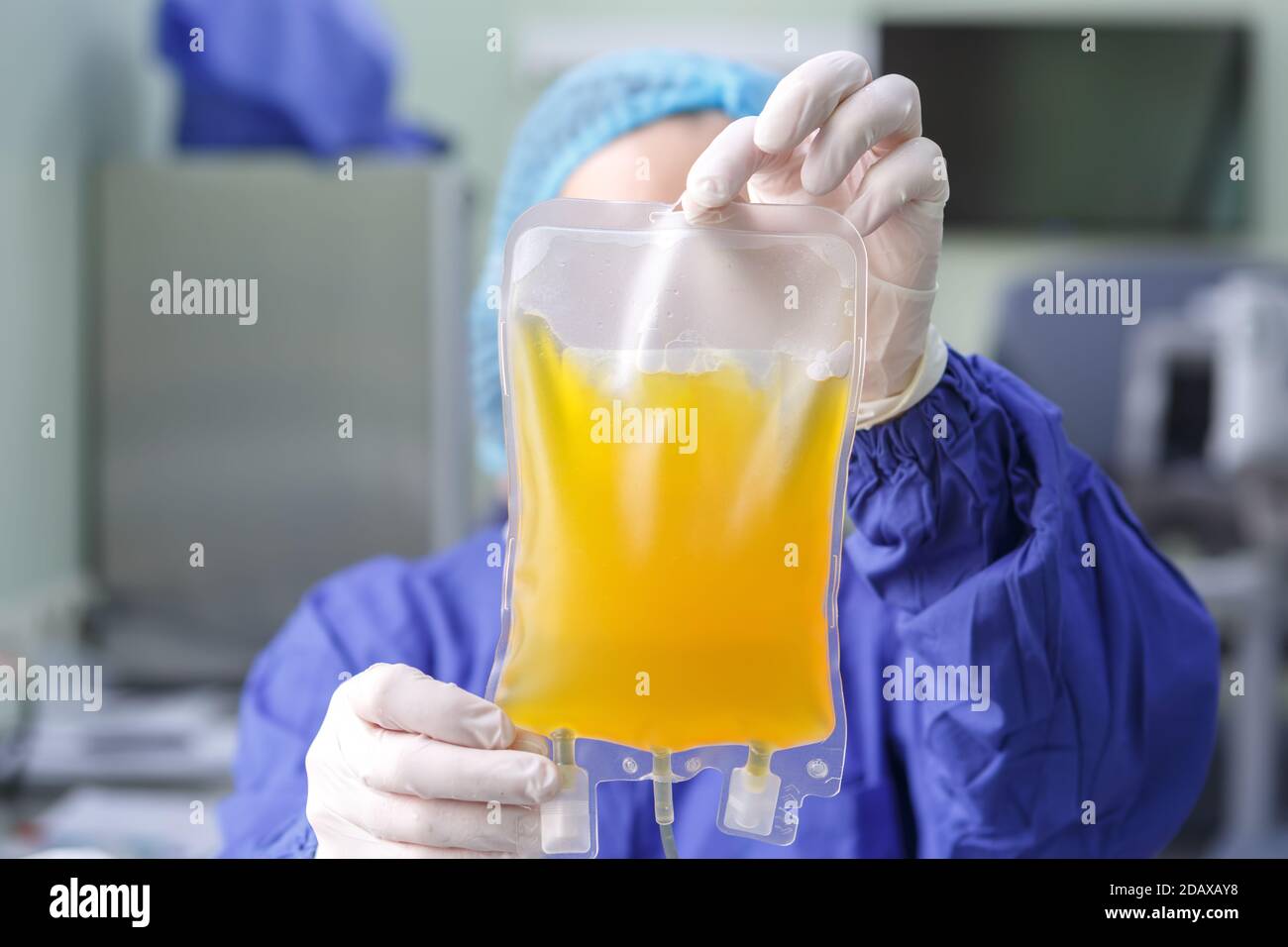 Gloved hands of a medical worker holding a bag of blood plasma close-up Stock Photo