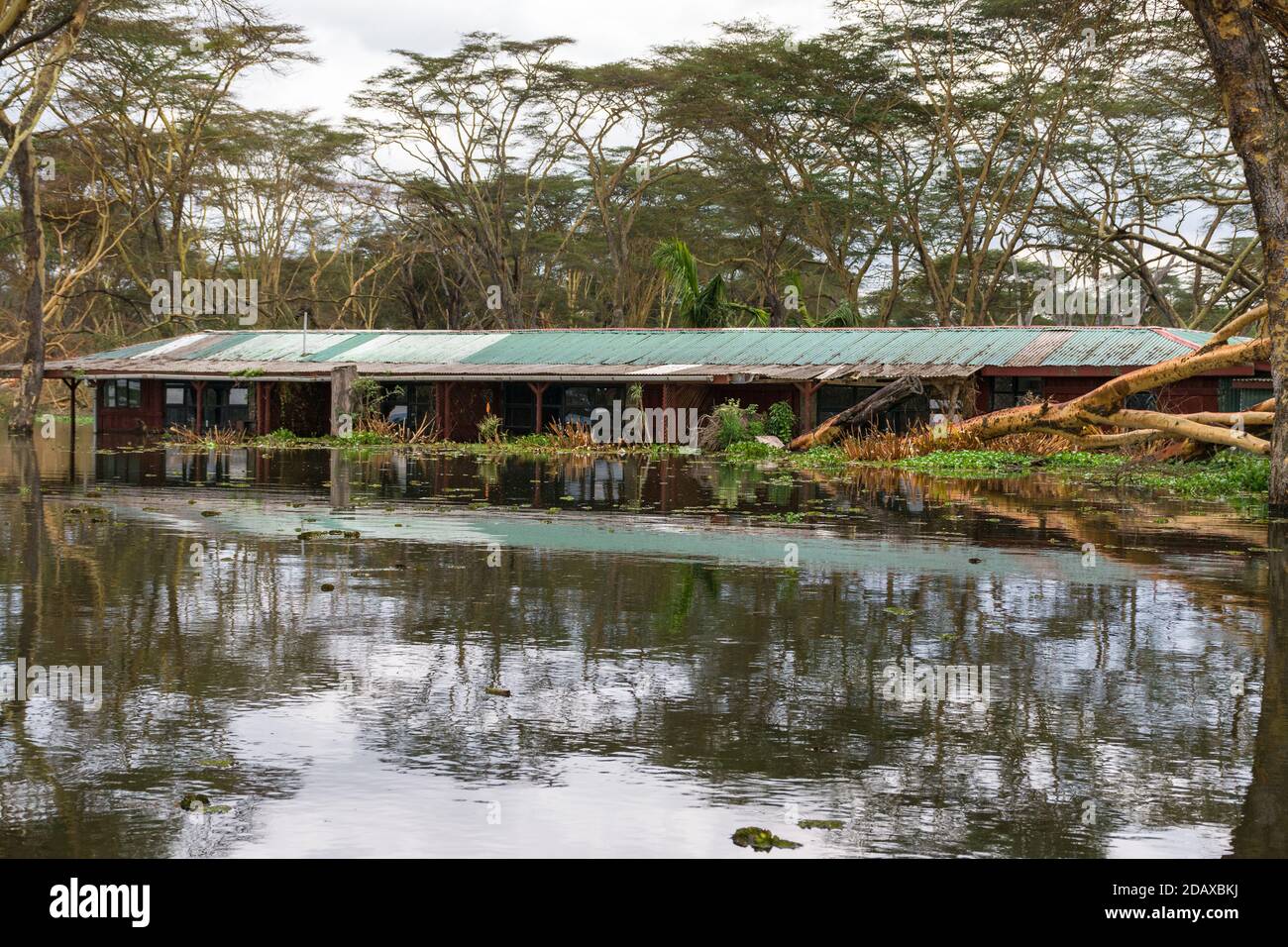 Several buildings partially submerged due to rising water levels, lake Naivasha, Kenya, East Africa Stock Photo