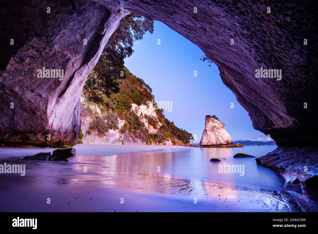 Morning at Cathedral Cove near Hahei, New Zealand Stock Photo - Alamy