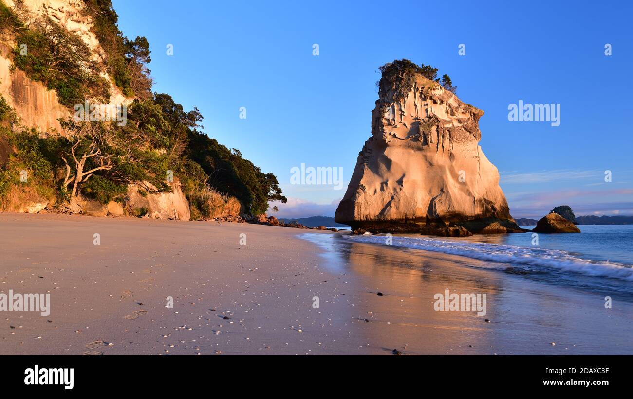 Morning at Cathedral Cove near Hahei, New Zealand Stock Photo Alamy