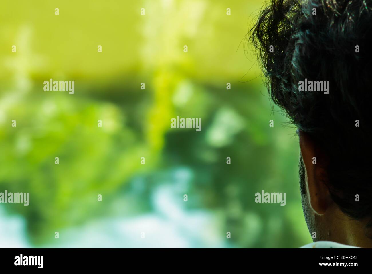 The man looking and hunting fish with fishing instrument Stock Photo ...