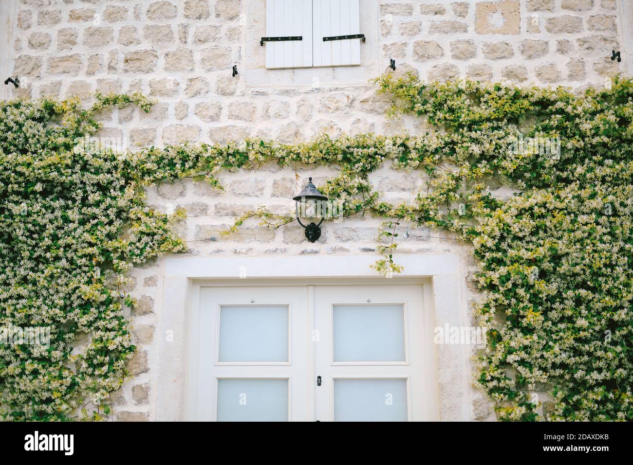A lantern on the stone wall of the house above the front door with a curly fragrant honeysuckle vine on the sides. Stock Photo
