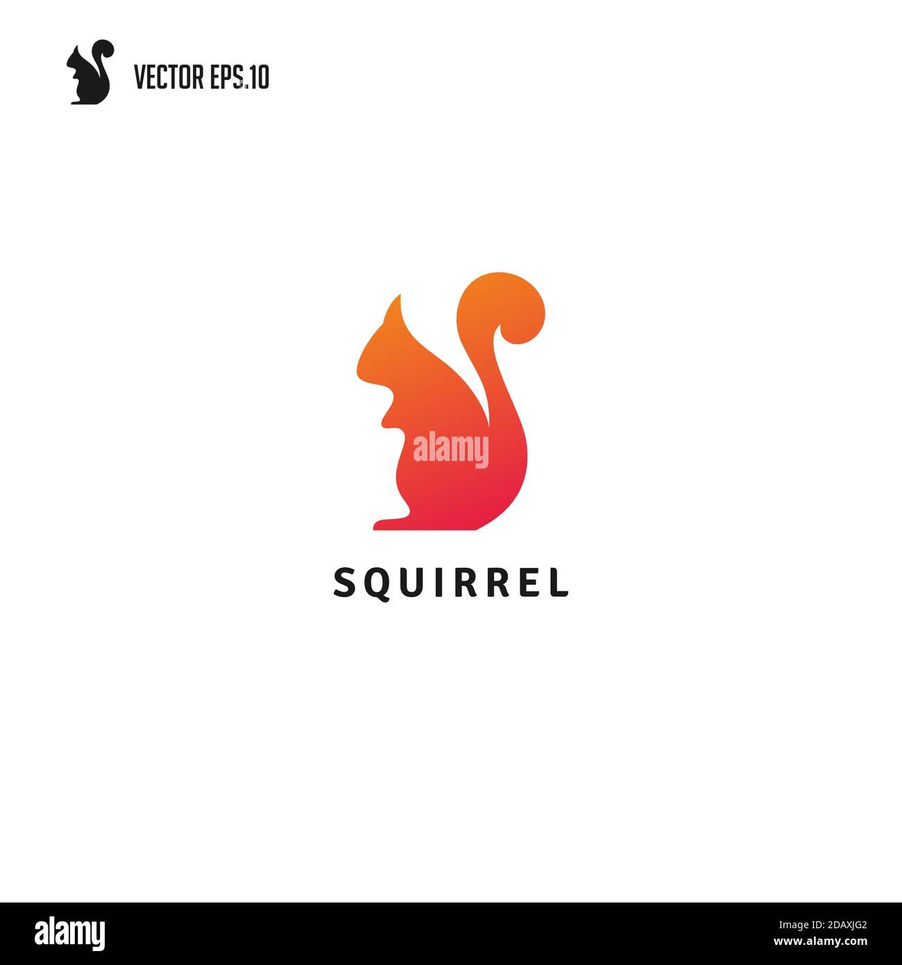 Squirrel logo design template, Vector illustration Stock Vector