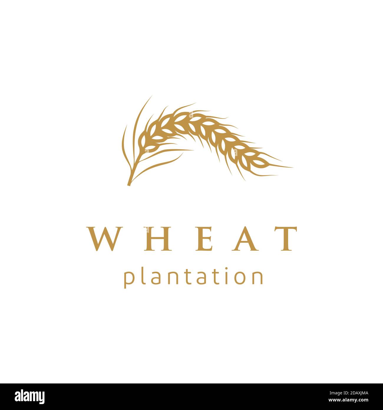Luxury Golden Grain Wheat / Rice Logo Design Stock Vector