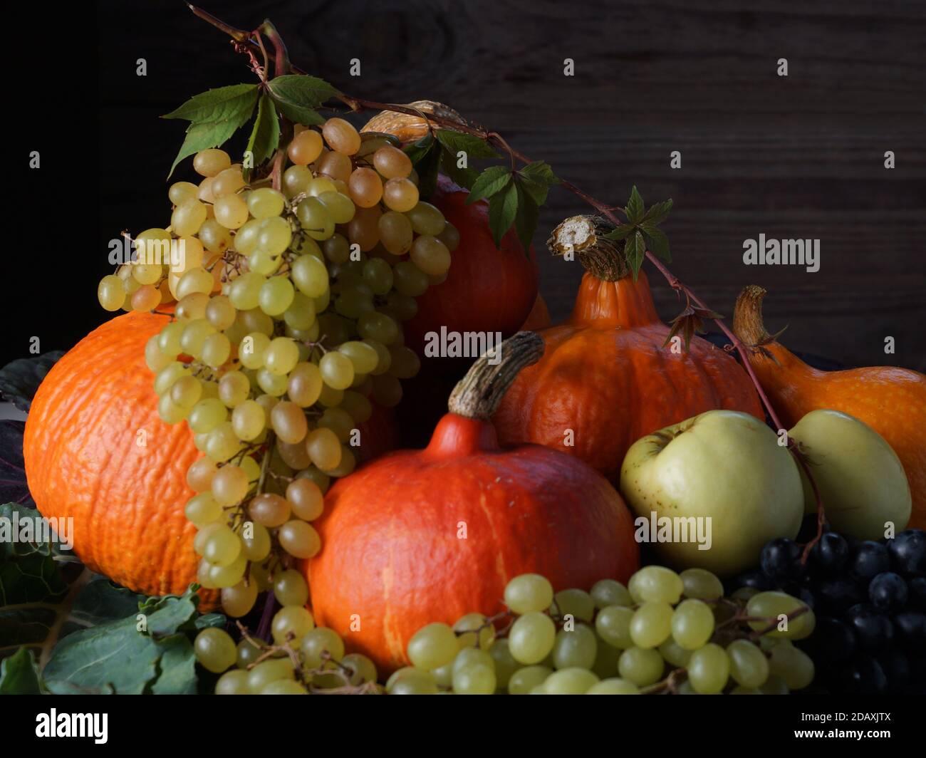 Still life apples pumpkin hi res stock photography and images Alamy Still life apples pumpkin hi res stock photography and images Alamy