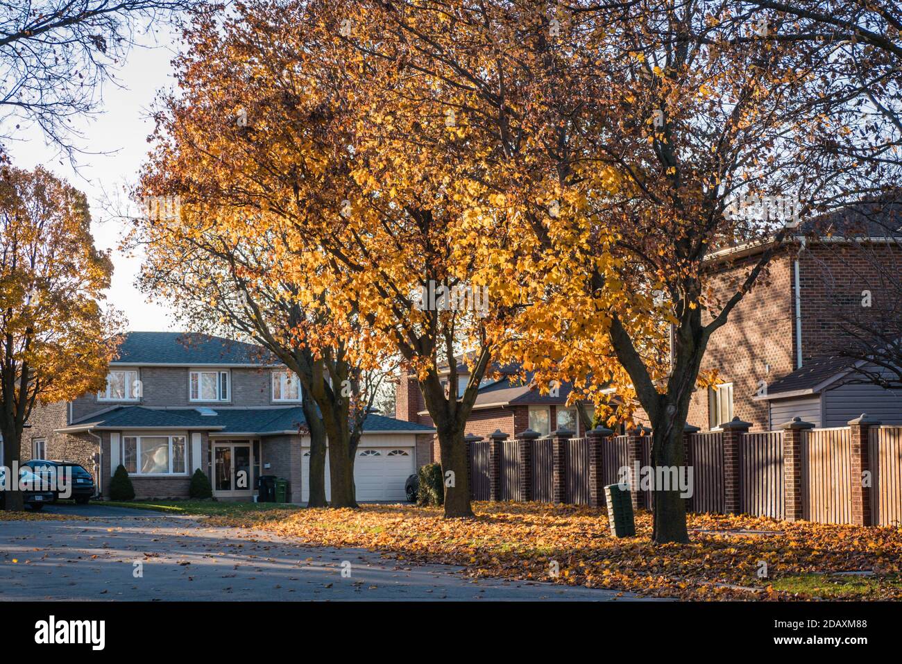 toronto neighbourhoods fall season Stock Photo