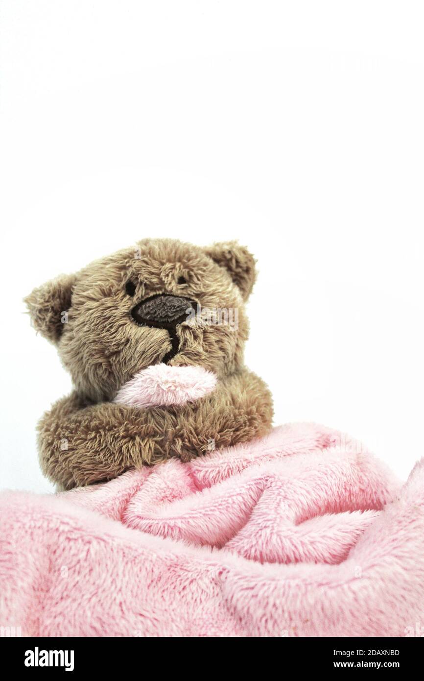 A teddy bear holding a pink blanket isolated on a white background with no person Stock Photo