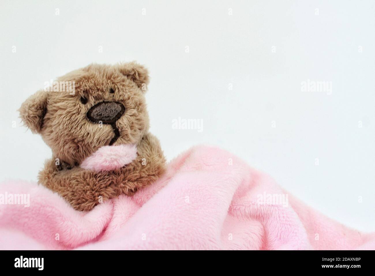 A teddy bear holding a pink blanket isolated on a white background with no person Stock Photo