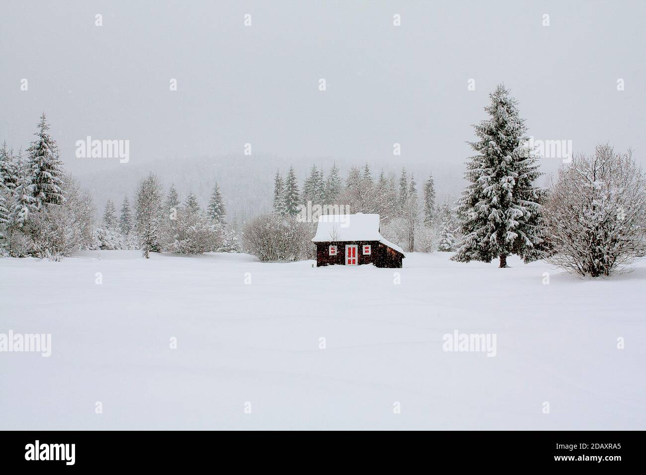 Majestic winter landscape with a small rural wooden house surrounded by ...