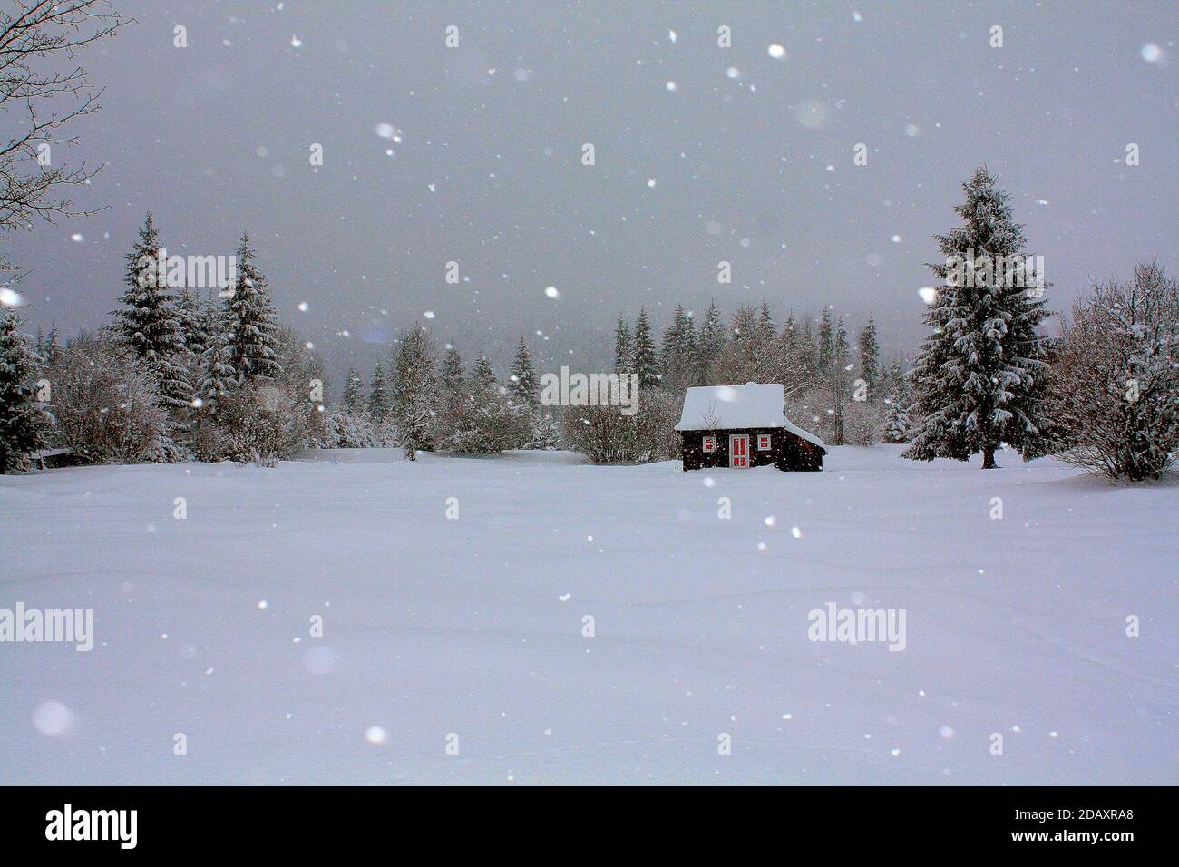 Majestic winter landscape with a small rural wooden house surrounded by ...