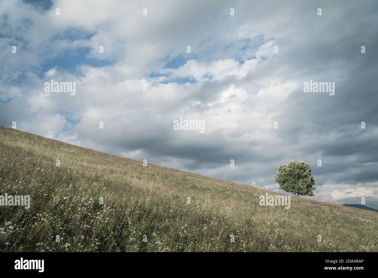Dirt road under the dark sky hi-res stock photography and images - Alamy