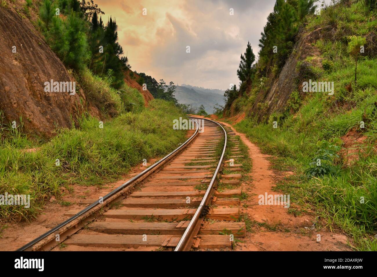 Railway tracks in sri lanka Stock Photo Alamy