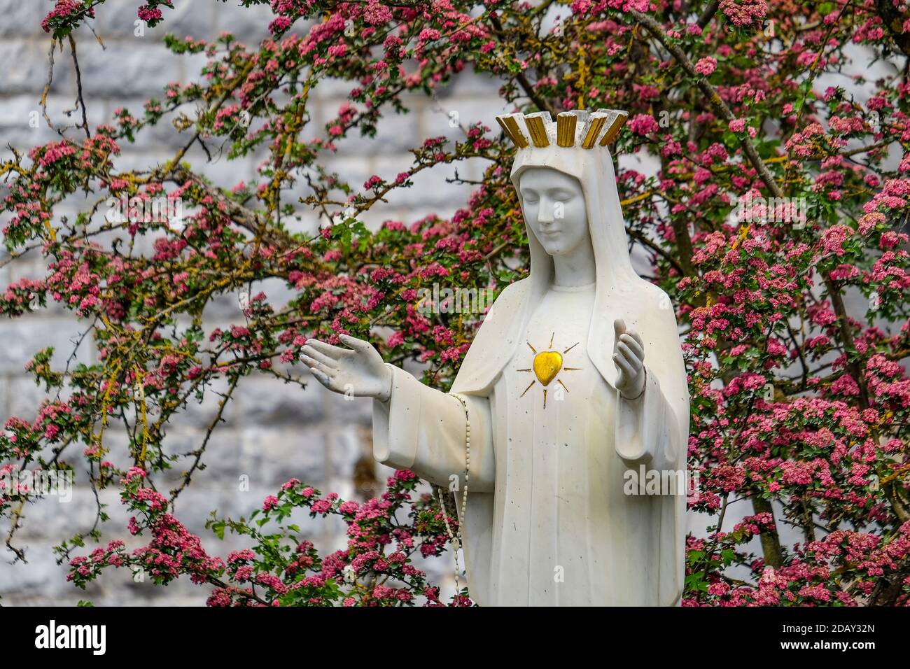 Illustration picture shows a statue of the Virgin Mary, at the