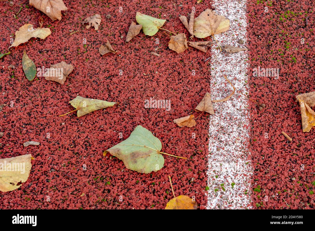 High angle shot of dried leaves on a playground in autumn Stock Photo ...