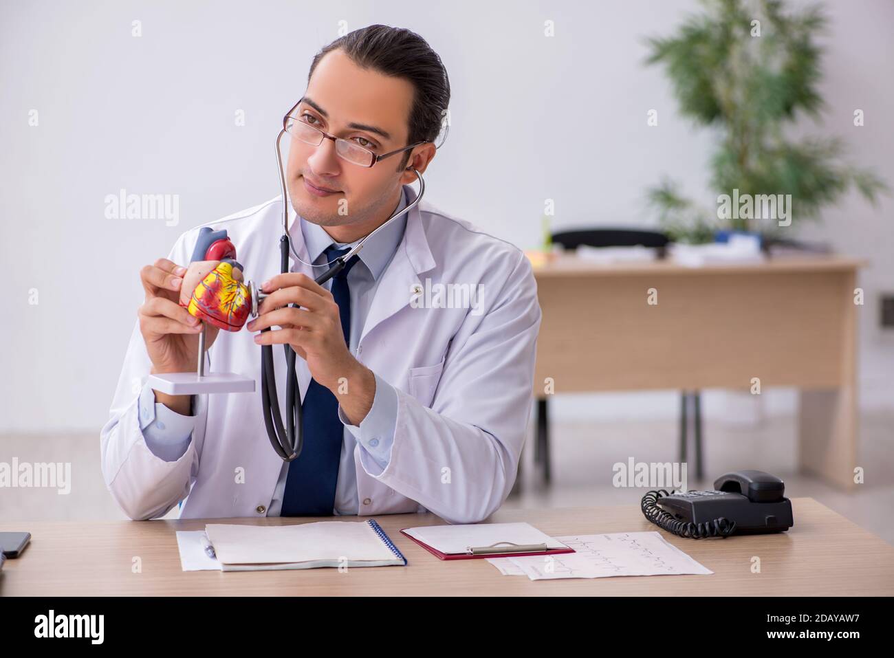 Young doctor cardiologist listening heart model with stethoscope Stock ...
