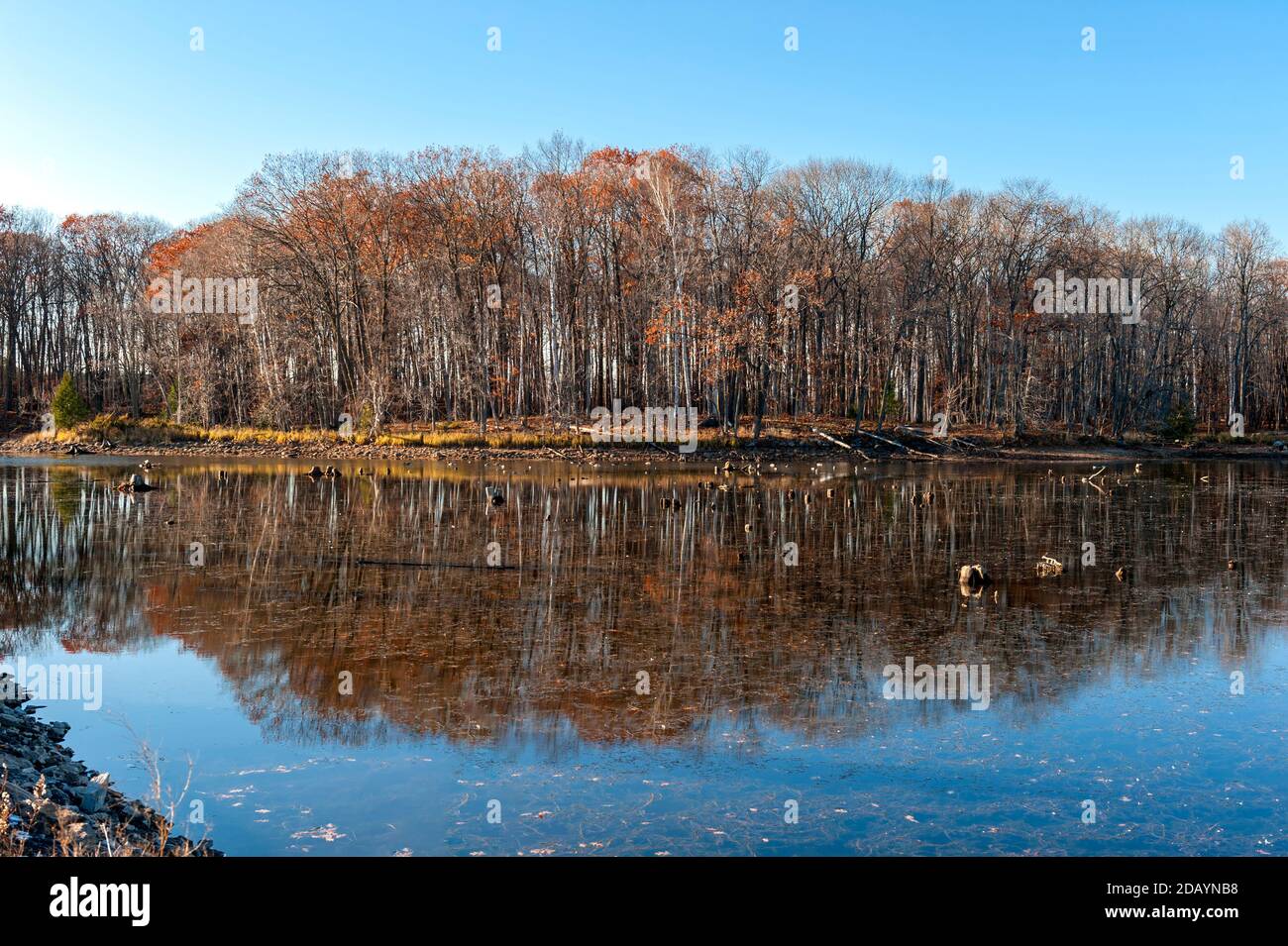 Autumn reflection Stock Photo