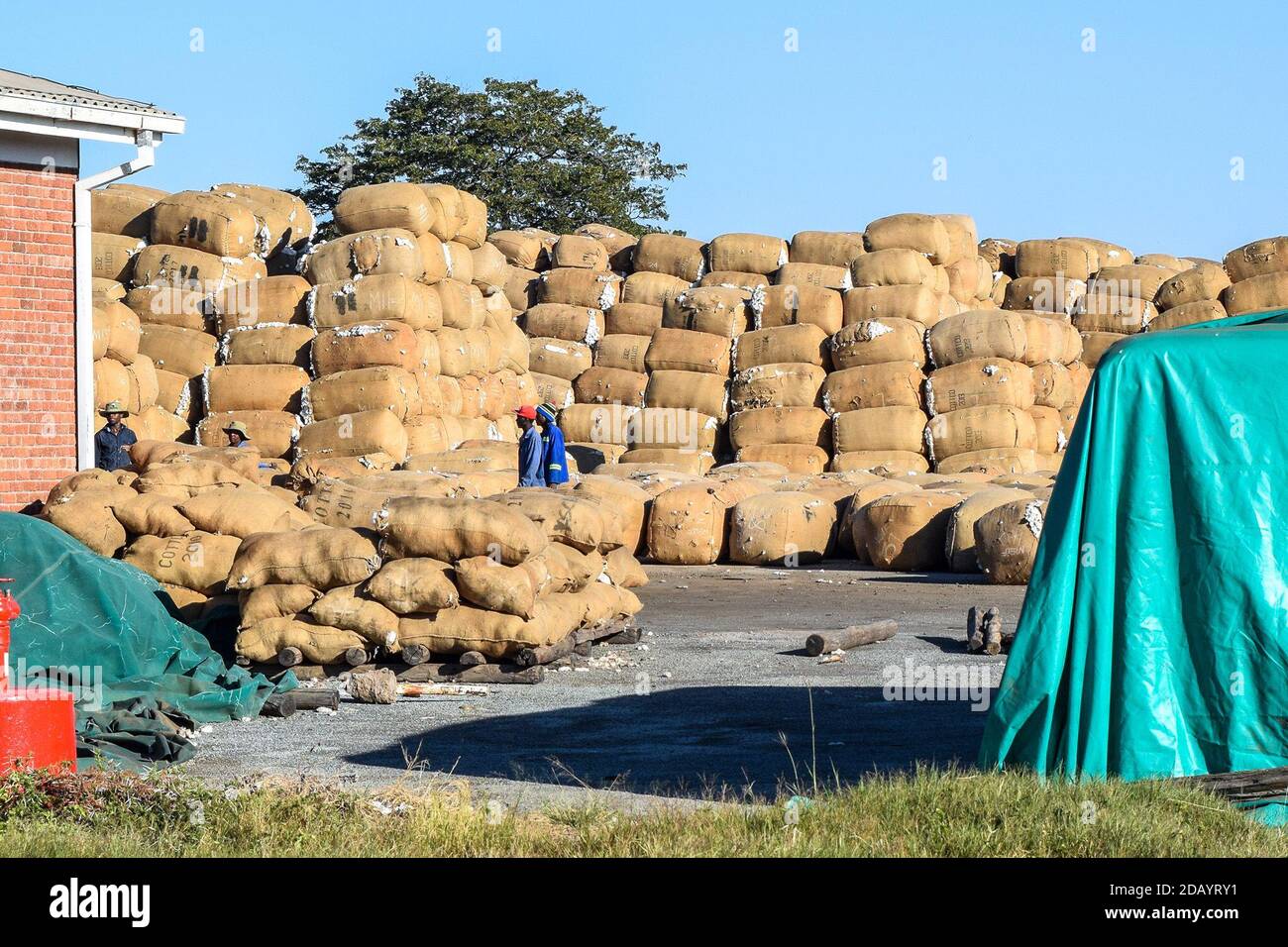 Bales of cotton sit waiting to be stored in the ginnery in Gokwe Centre, Zimbabwe. Stock Photo