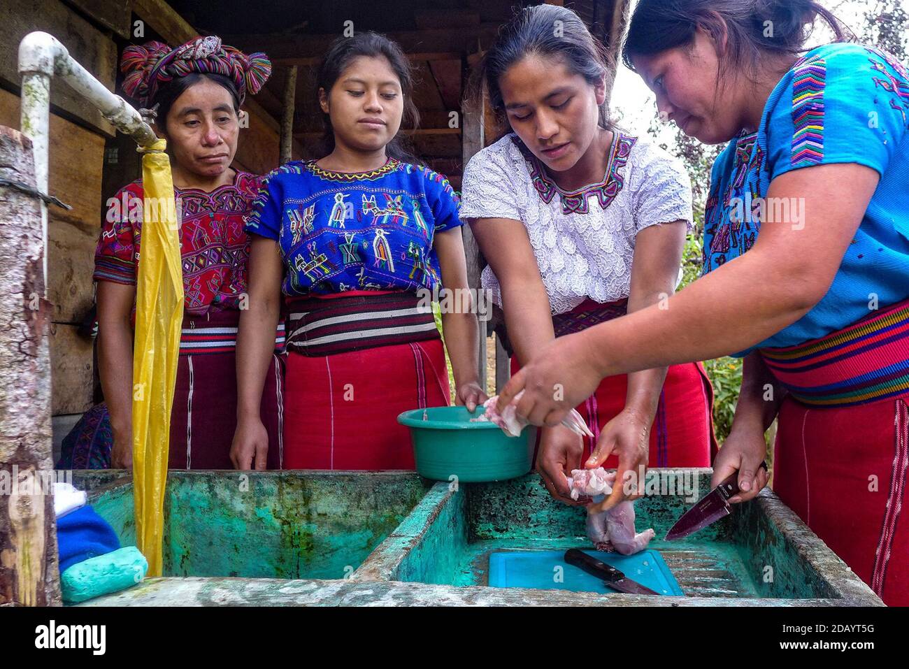 Left to right: Catarina Bernal, Margarita Ramírez, Catarina Cedillo, and Margarita Matom (CQ), all members of the Viucalvitz community, in Nebaj Quiché, Guatemala (CQ LINK), clean and prepare rabbit meat as a group to teach, learn, and improve the preperation of this Feando de Conejo dish. Their goal is to learn and share how to cook this healthy meal that takes advantage of the community’s resources. (Brenda Leticia Saloj Chiyal, GPJ Guatemala) Stock Photo