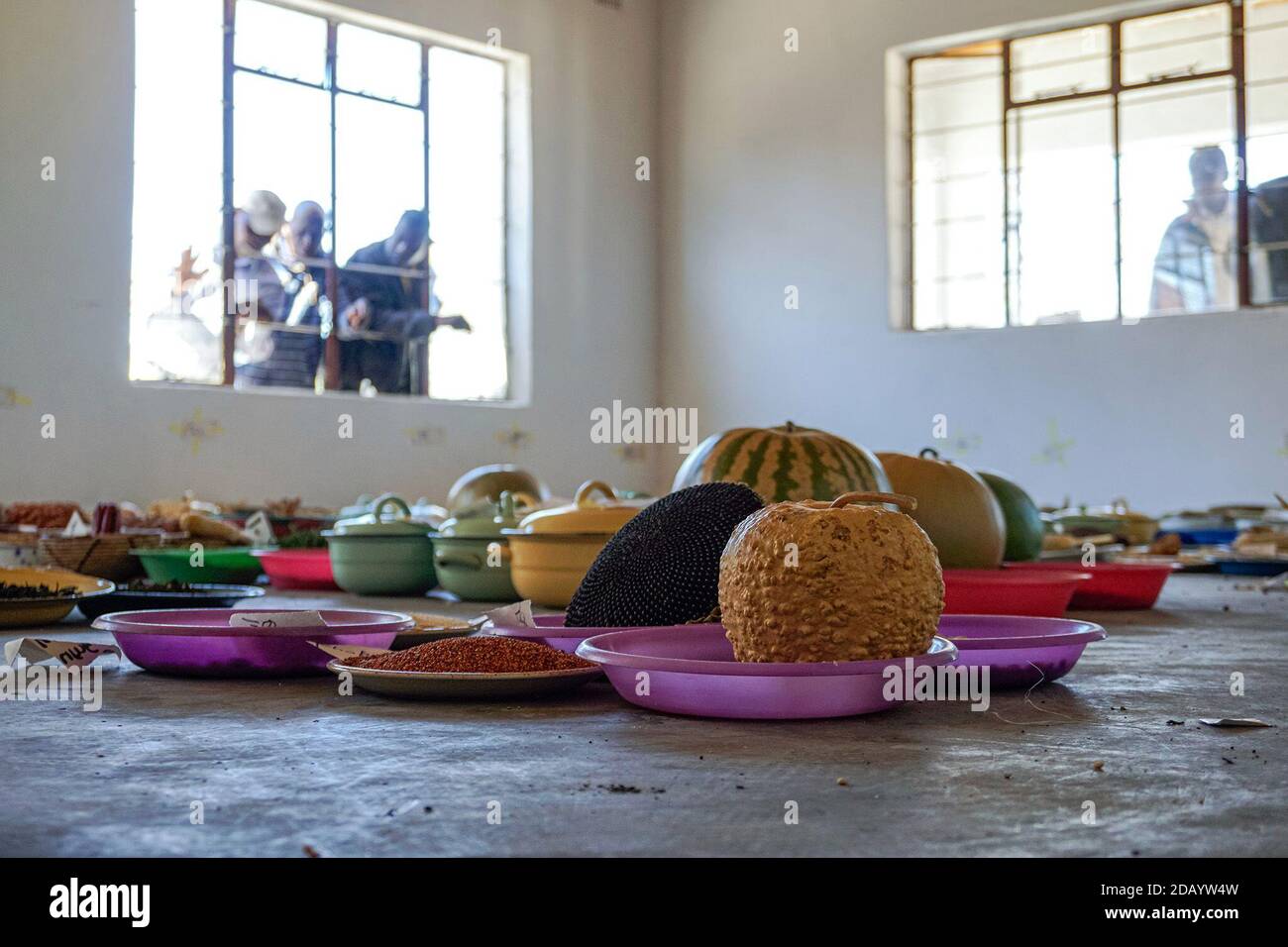 Indigenous seeds stored in the Matobo Seed Bank in Zimbabwe Stock Photo