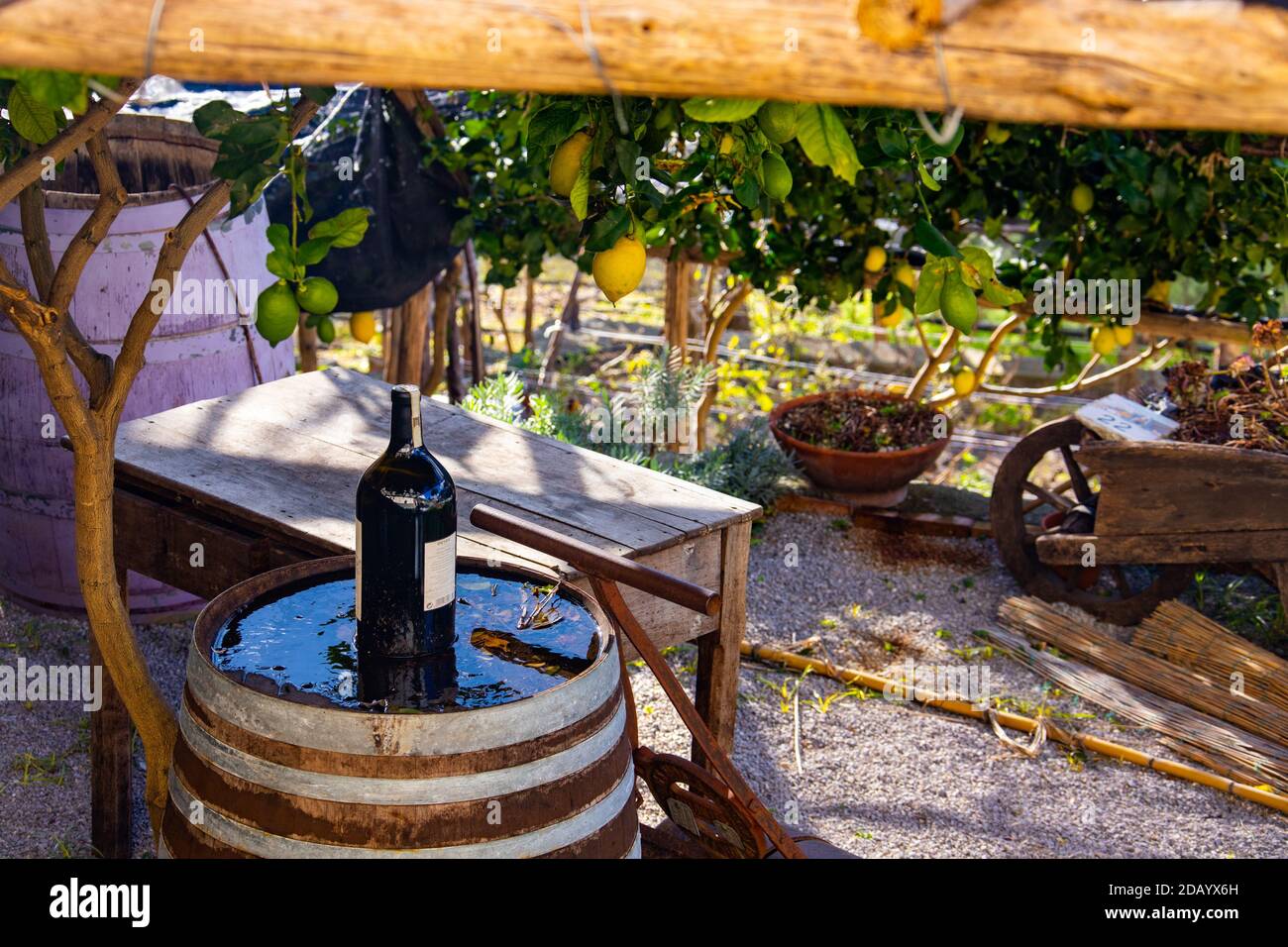 Wine and lemons, Ravello, Province of Salerno, Amalfi Coast, Italy Stock Photo