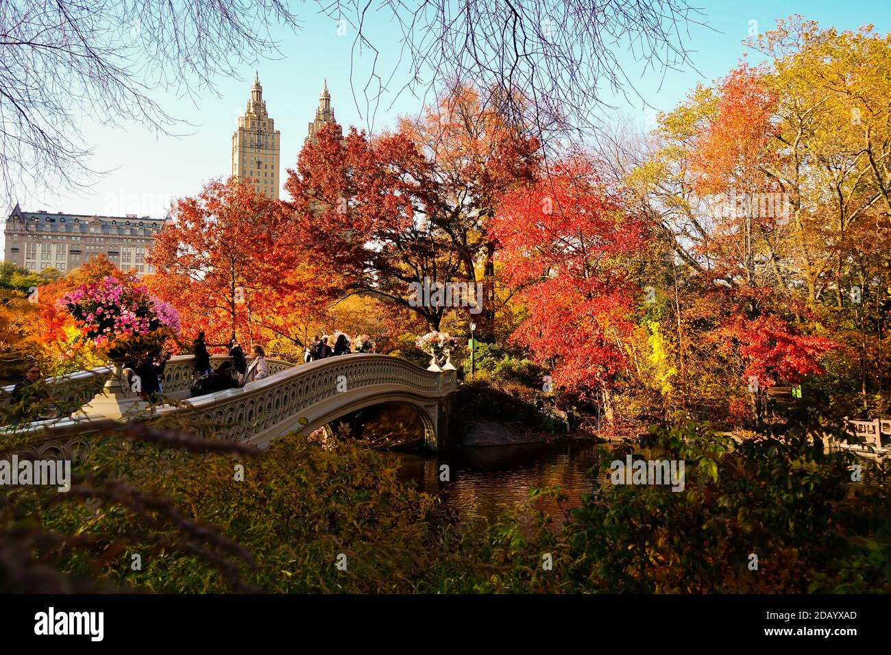 Bow Bridge and Central Park in New York City at the peak of the Autumn season with red and yellow leaves and trees changing colors. Stock Photo