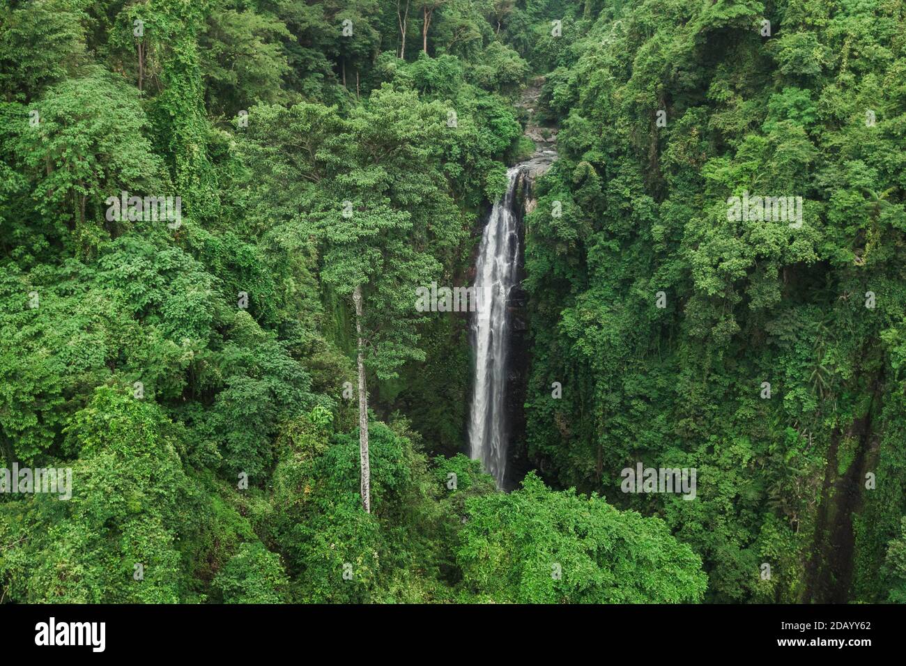 Aerial drone view of large hidden waterfall in jungle rainforest. Wild untouched nature, green background. Bali, Indonesia Stock Photo