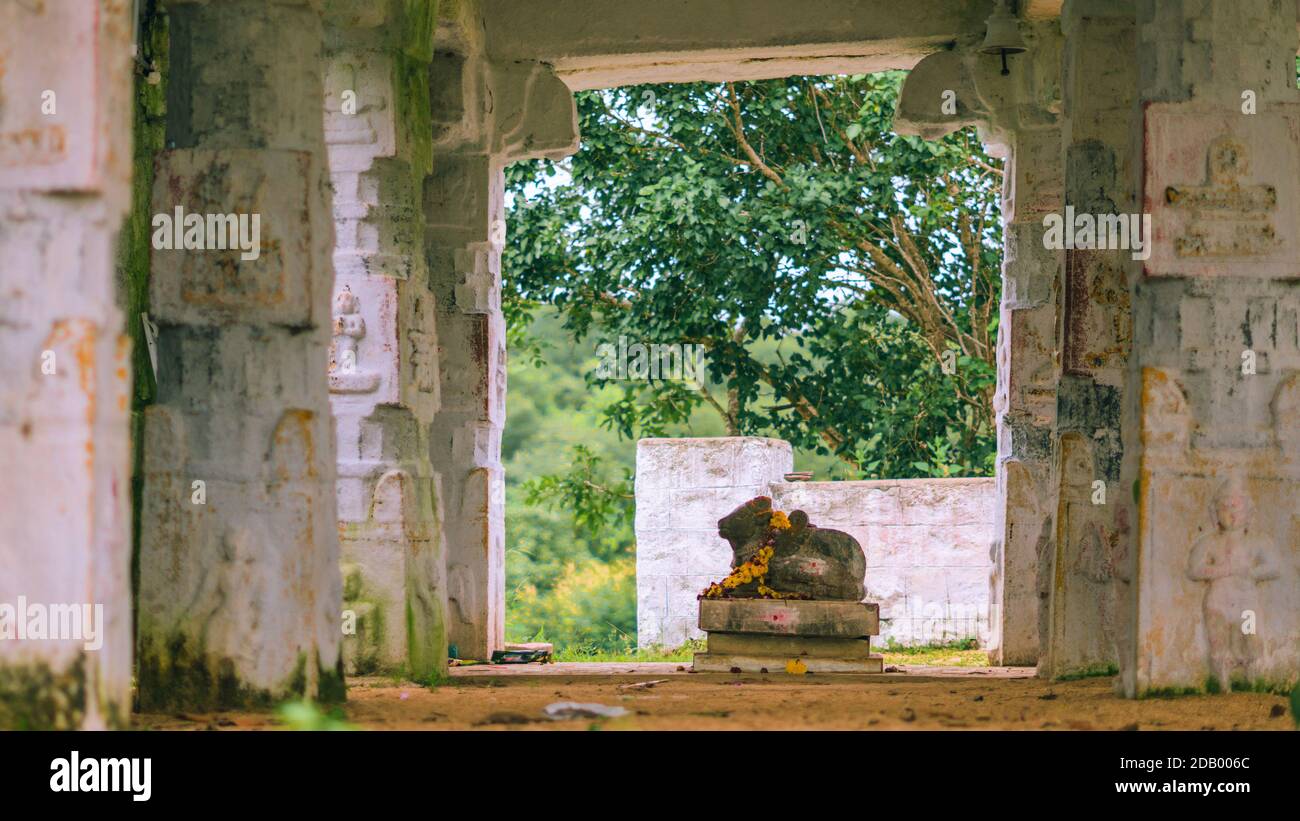 Nandi seeing though beautiful pillars architecture Stock Photo