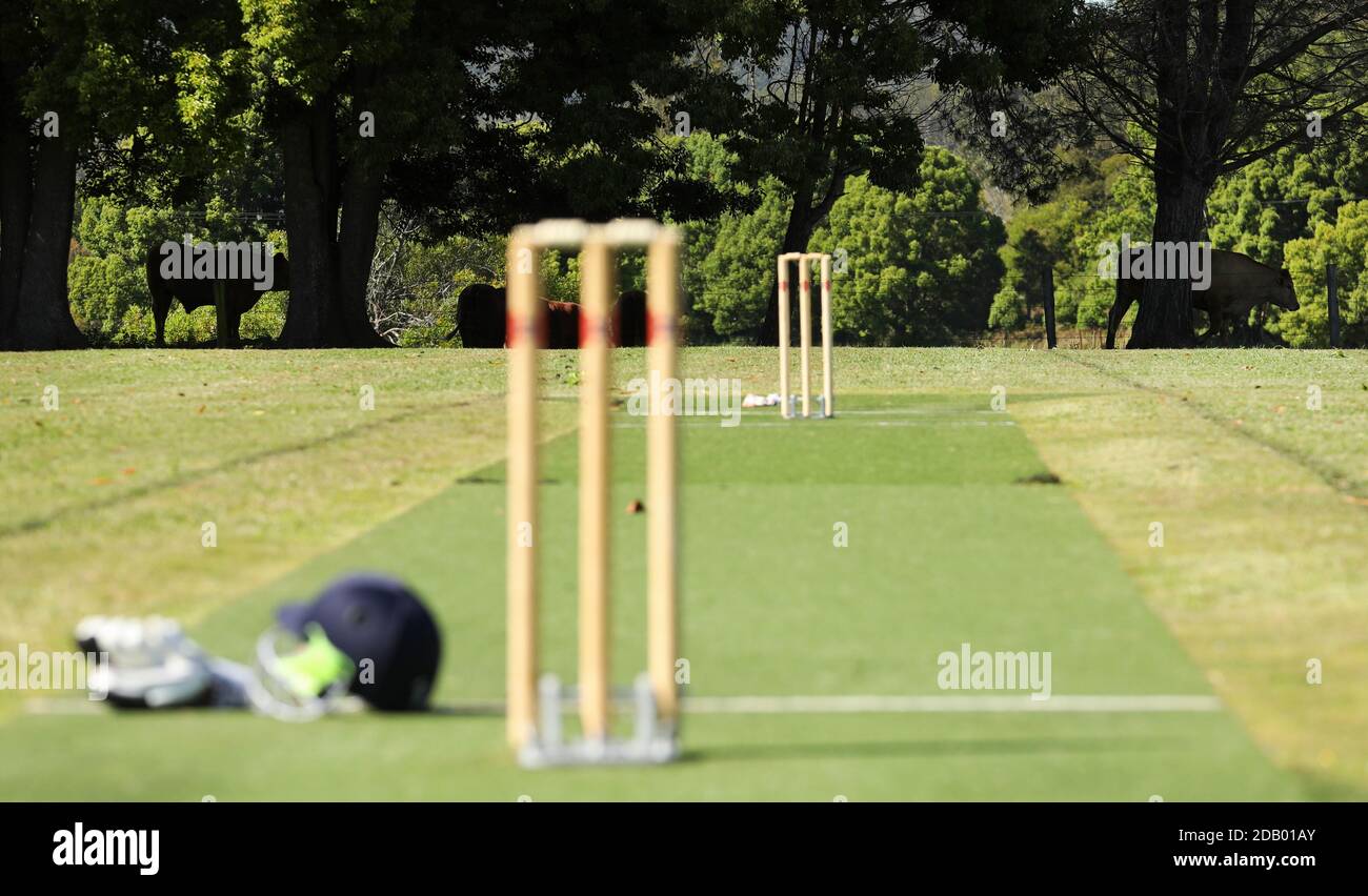 A view of a regional country cricket ground and pitch with farms and cows in the background. Wicket and stumps deliberately blurred. Stock Photo