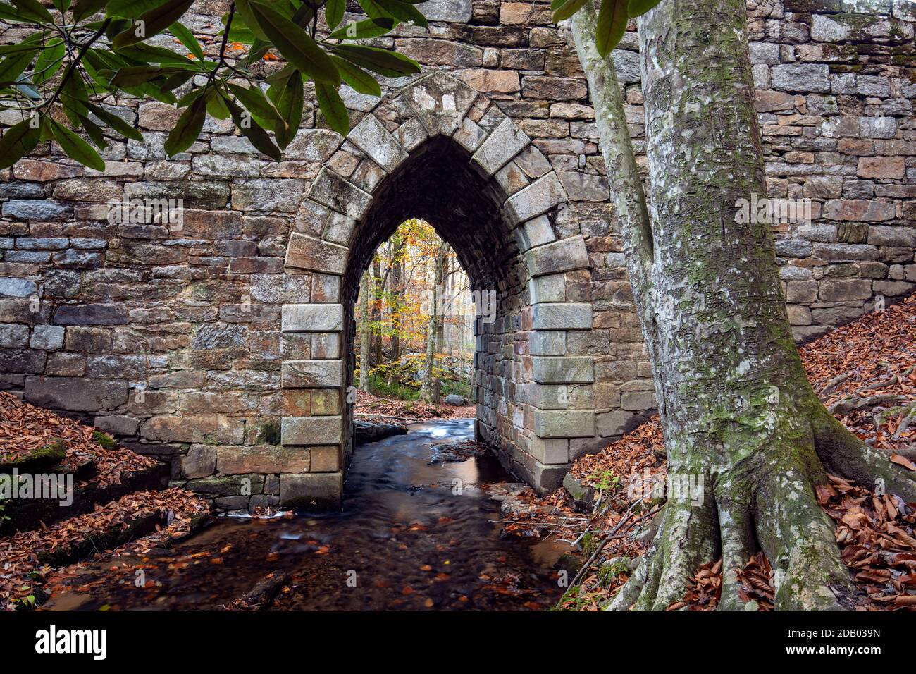 Poinsett Bridge over Little Gap Creek Poinsett Bridge Heritage