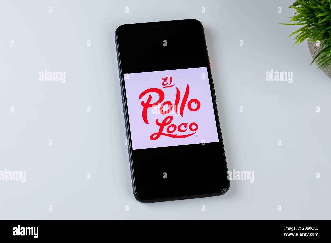 El Pollo Loco app logo on a smartphone screen Stock Photo - Alamy